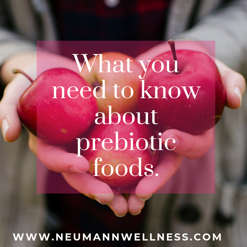 prebiotic foods